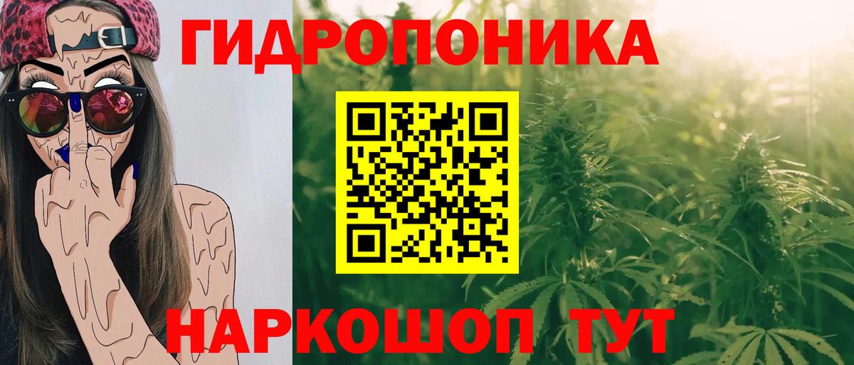 Бошки Шишки MAZAR Невинномысск